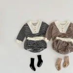 【66-100】 ボーダー セットアップ - 画像 (9)