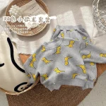 【66-90】恐竜プリント セットアップ - 画像 (5)
