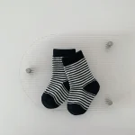 【GOODS】 ボーダー ソックス - 画像 (6)
