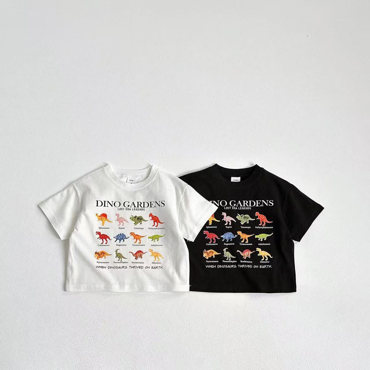 70ff902a1f27f204561746bff4eb2097.jpg 【80-160】Tシャツ ダイナソー カジュアル コットン - 画像 (1)