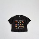 【80-160】Tシャツ ダイナソー カジュアル コットン - 画像 (4)