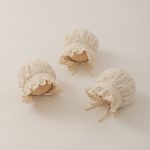 【GOODS】帽子 プリンセス レース - 画像 (4)