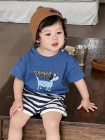 【73-110】Tシャツ or ショートパンツ ベビー 男の子 犬柄 ボーダー - 画像 (6)