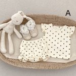 【66-100】セットアップ ベビー フリル袖トップス&レースショートパンツ - 画像 (6)