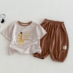【73-120】Tシャツ 可愛い ボーダー トレンド おしゃれ トップス - 画像 (12)