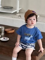 【73-110】Tシャツ or ショートパンツ ベビー 男の子 犬柄 ボーダー - 画像 (7)