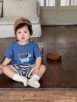【73-110】Tシャツ or ショートパンツ ベビー 男の子 犬柄 ボーダー - 画像 (5)