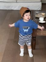 【73-110】Tシャツ or ショートパンツ ベビー 男の子 犬柄 ボーダー