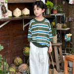 【100-170】半袖Tシャツ 男の子 ボーダー柄 軽量 通気性拔群 - 画像 (4)