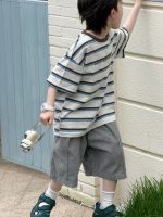 【100-160】半袖Tシャツ 男の子 ボーダー柄 ゆったり - 画像 (4)