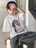 【90-160】半袖Tシャツ 男の子 イヌ プリント 通気性拔群 - 画像 (2)