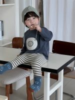 【73-110】Tシャツ ズボン ストライブ カジュアル 男の子 - 画像 (2)