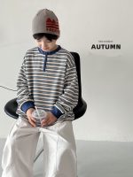 【73-110】Tシャツ ラウンドネック 長袖 ファスナー ストライブ 男の子 - 画像 (2)