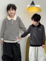 【90-160】セーター 折り襟 ストライブ 長袖 カジュアル 男の子