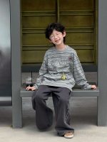 【90-160】Tシャツ 韓国風 合わせやすい ストライブ 長袖 男の子 - 画像 (5)