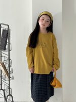 【100-150】長袖Tシャツ 女の子 刺繍 韓国風 ベーシック カジュアル - 画像 (14)